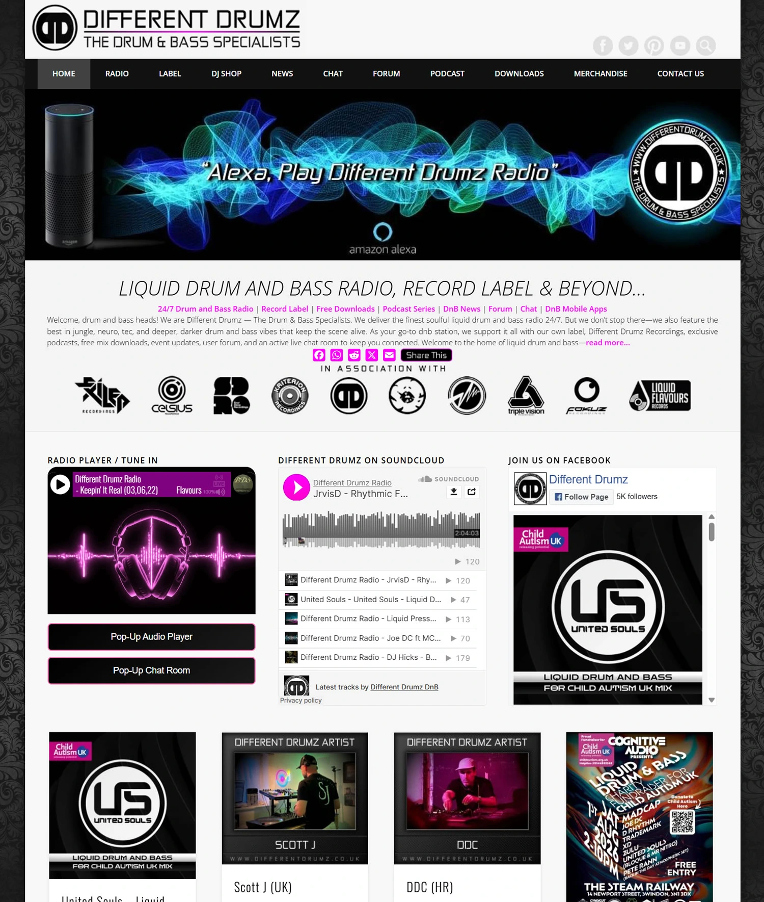 Different Drumz Music, Media & Entertainment Website Preview