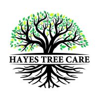 Hayes Tree Care Logo Design by N2O Designs