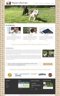 Payne's Pet Care Website Design by N2O Designs