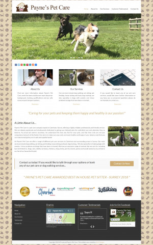 Payne's Pet Care Website Design by N2O Designs