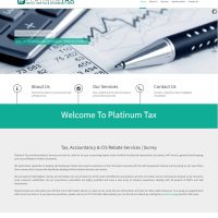 Platinum Tax Website Preview